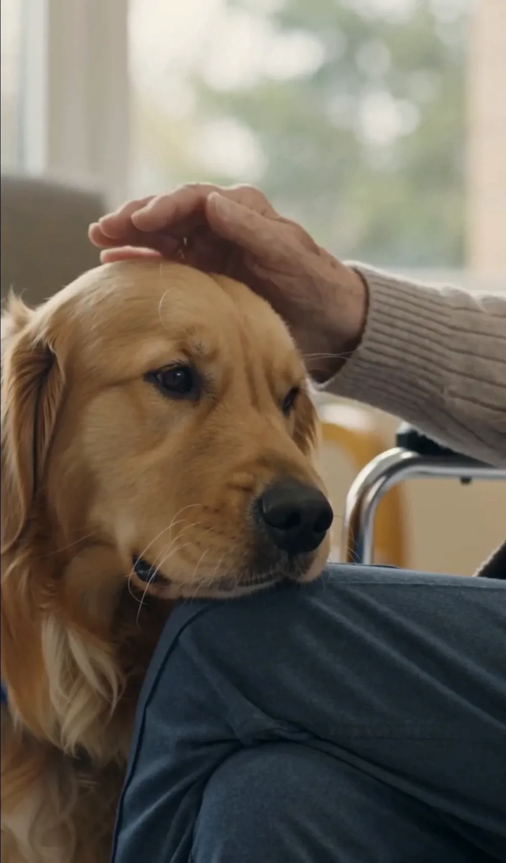 A Golden Bond aged care visit